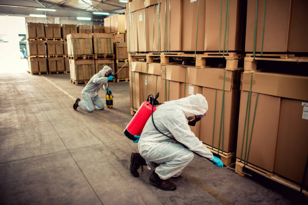 Best Pest Removal Services  in East Patchogue, NY
