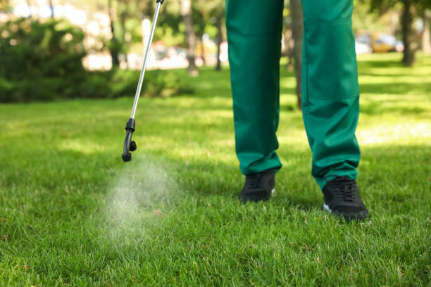 Reliable East Patchogue, NY Pest Control Solutions