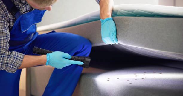 Best Pest Control Near Me  in East Patchogue, NY