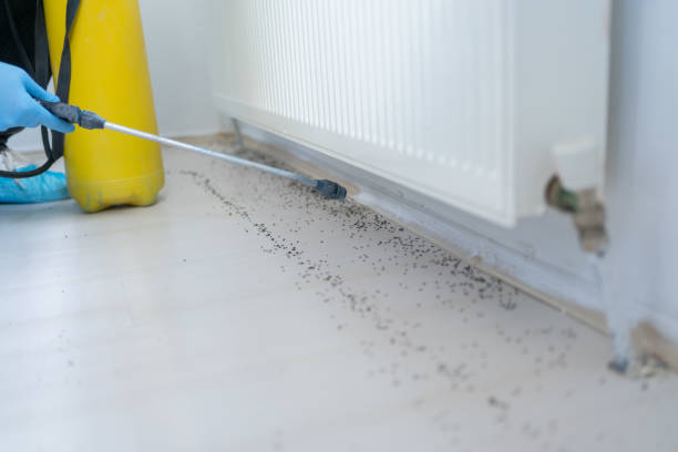 Pest Control for Restaurants in East Patchogue, NY