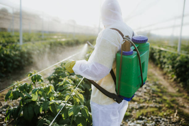 Best Best Pest Control Companies  in East Patchogue, NY